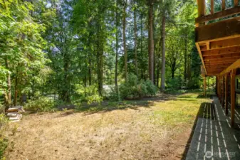 Back yard with side access