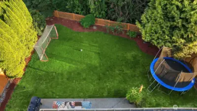 The grass color has been digitally enhanced