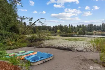 Back yard & Lake