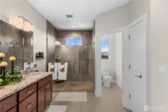 Primary Bath with Custom Shower
