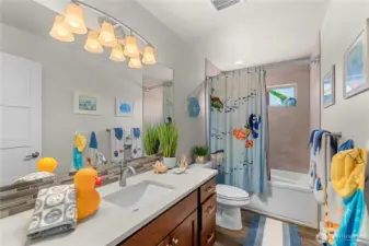 Downstairs Guest Bath