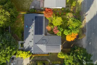 Smart updates include a new roof with solar panels, A/C and heat pump, tankless water heater, and energy-efficient windows. The established mature landscaping was designed by a Master Gardener. There is a soaker irrigation system set up that is controlled by an APP for ease. There are extensive plantings for year-round color and foliage that are marked and labeled.