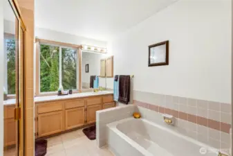 Primary ensuite 5-piece bathroom