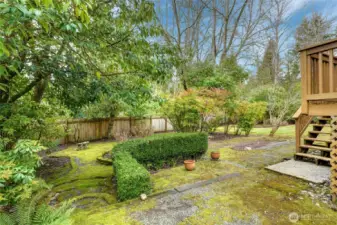 Winter photos of huge back yard.  Your own park