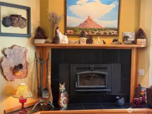 Wood stove insert keeps you warm in the winter months.