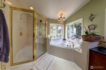 Primary bath has a water closet, large garden shower and jetted soaking tub with ocean views both from the water closet and the tub. Skylight not shown brings in lots of light.
