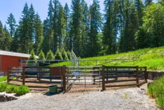 4 horse Odyssey Eurosizer with Centar fencing.