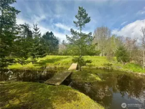 Walkway to back property
