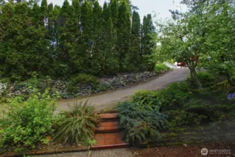 Driveway and walkway to home