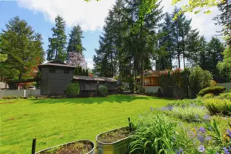 Back yard