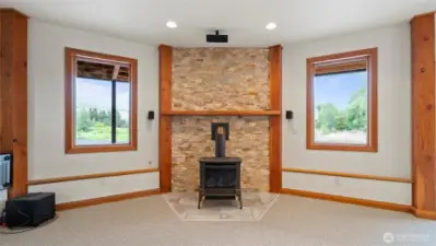 Lower level new fireplace