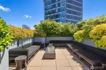 Beautirful roof top deck areas