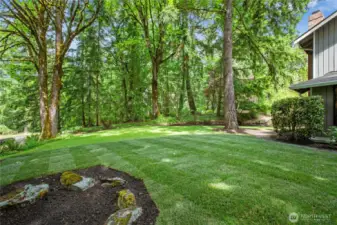Listen to the resident Eagle in the treetops, gaze at the views. and relax in the peaceful setting!