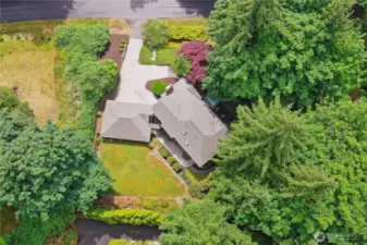 Aerial view of property shows greenbelt to left and backyard and driveway
