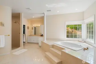 Primary Bathroom includes walk-in shower and soaking tub.
