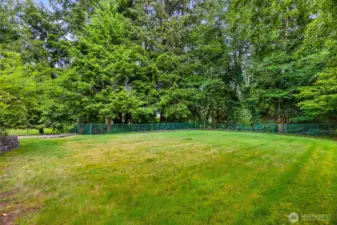 Large fenced back yard to let your imagination run wild (and possibly a dog)