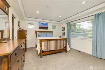 Primary suite with tray ceiling