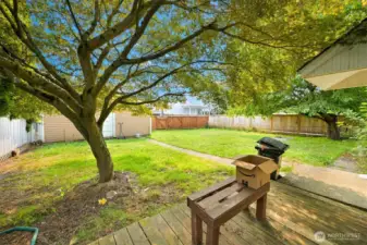 View from Back Deck