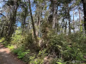 Southeast facing northwest