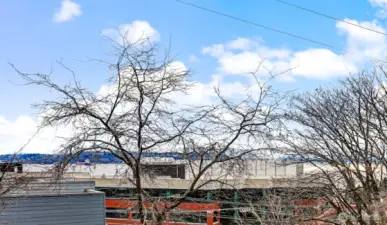 View from Unit Patio