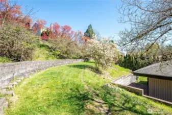 Terraced Back Yard