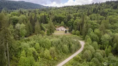 Surrounded by forest above Deming