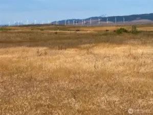 Magnified  outlook to Wind Mills