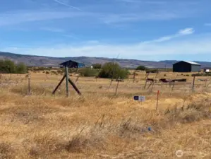 Fluorescent tipped stake & directional arrow & neighbors fence are on the east boundary of our lot.Our 5 acre parcel is 316 ft wide by appx 655ft deep.