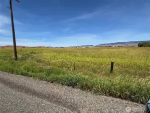 Neighboring field on Lower Green Canyon Road under cultivation gives an idea of the possibilities for this property for buyers into agriculture use & enjoyment.