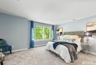 Light control with integrated window shades