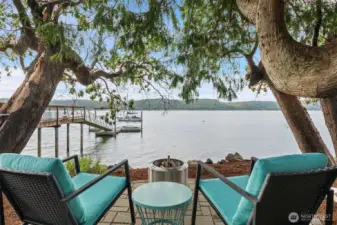 Welcome to South Shore of the Hood Canal!