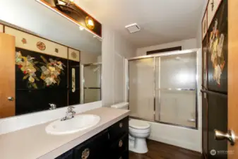 Guest bathroom.