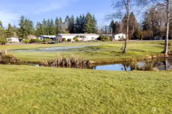 Wildlife viewing from your back patio!