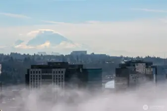 Majestic Mt. Rainier, courtesy of the rooftop deck that you'll enjoy as a resident at Madison Tower.