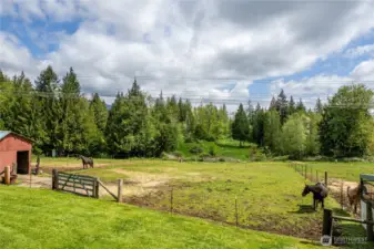 3 of 8 covered paddocks each w/water access