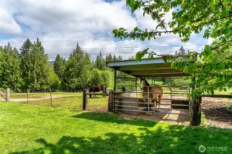 Covered paddock