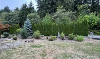 Backyard landscaping that buffers the road.