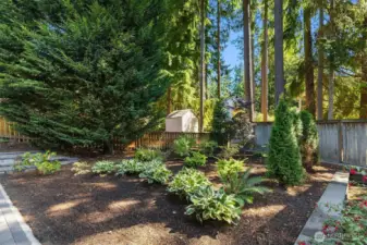 Landscaped backyard with paver walkway and storage shed.