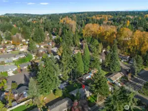 Beautiful aerial view showcasing the home’s serene setting among mature trees and a peaceful neighborhood.