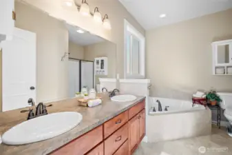 Primary bathroom, soaking tup, shower, double sinks.