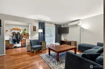 Living room and entrance