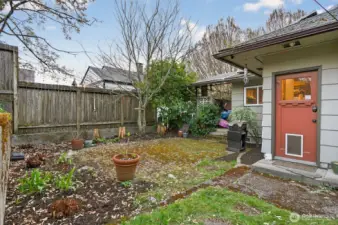 Side yard and patio
