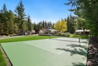 Your own sport court!