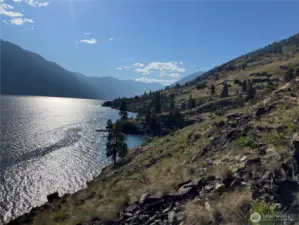 Shoreline