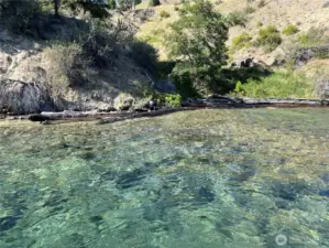 Pristine water
