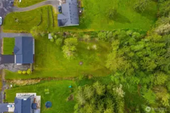 Over an acre extending beyond the tree line