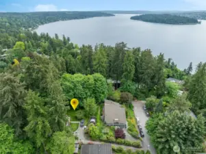 Surrounded by mature evergreen trees