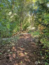 Protected nature reserve trail that loop back into you the community makes a perfect morning walk!