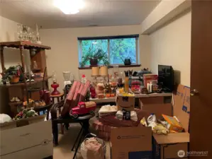 Downstaris Extra bonus room.