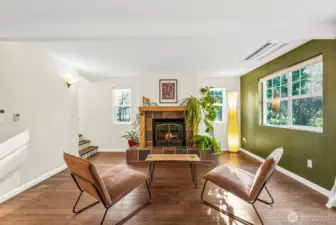 Propane fireplace insert